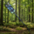 Photoroom_20260426_133631