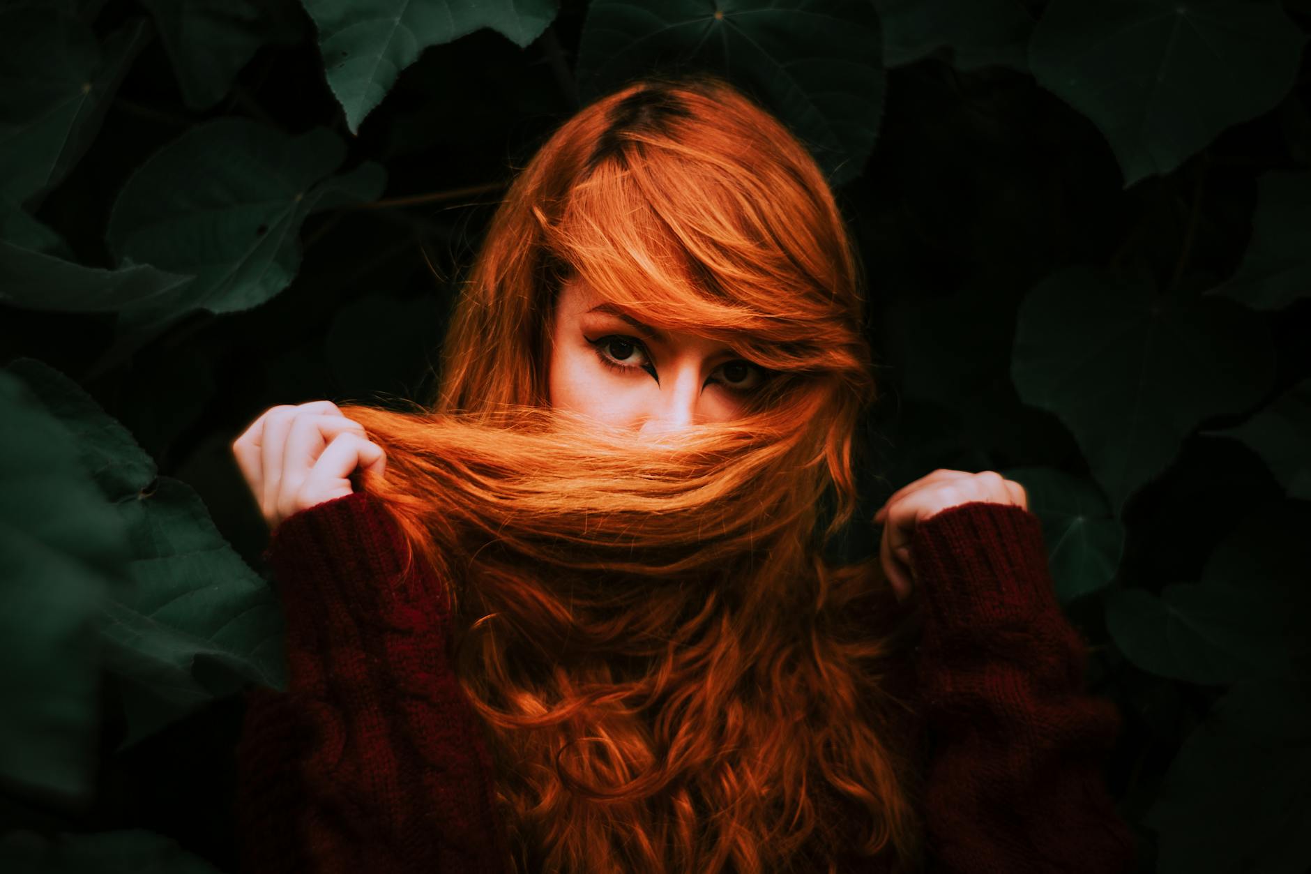 photos gratuites de artistique automne beaute
