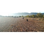71bFqRwNjAL._AC_SL1345_