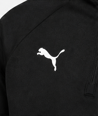 Veste sport 1-4 zip homme Puma Training TOP Noir Blanc 8