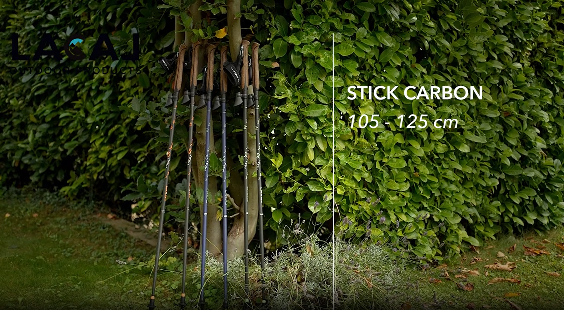 Bâtons marche nordique unisexe Lacal STICK CARBON 40 ou 70 ou 100 (5)