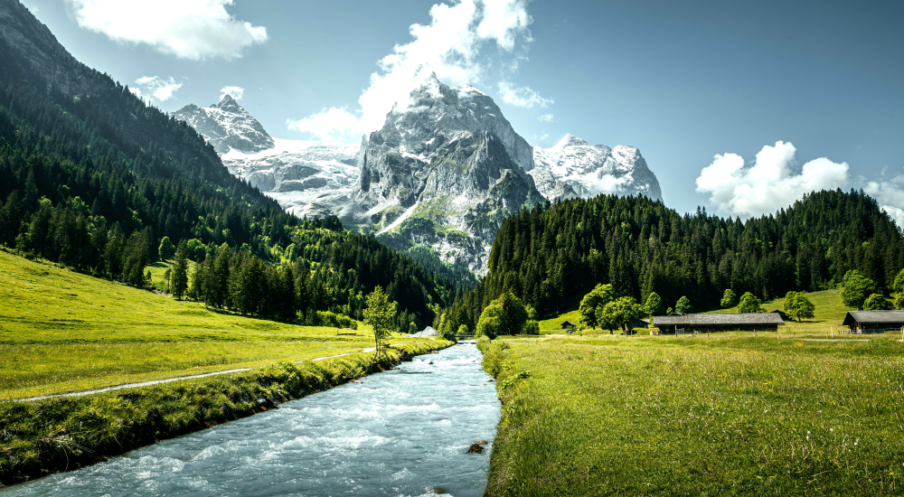 runalya suisse