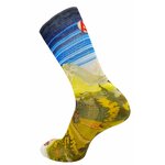 1846 Chaussettes jarrette running-trail Rywan NO LIMIT GRAPHIK Esprit montagne Bleu Jaune Vert kaki 2