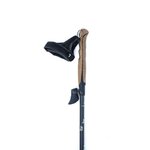 Bâtons marche nordique unisexe Lacal STICK CARBONE 70� Noir Marron 2