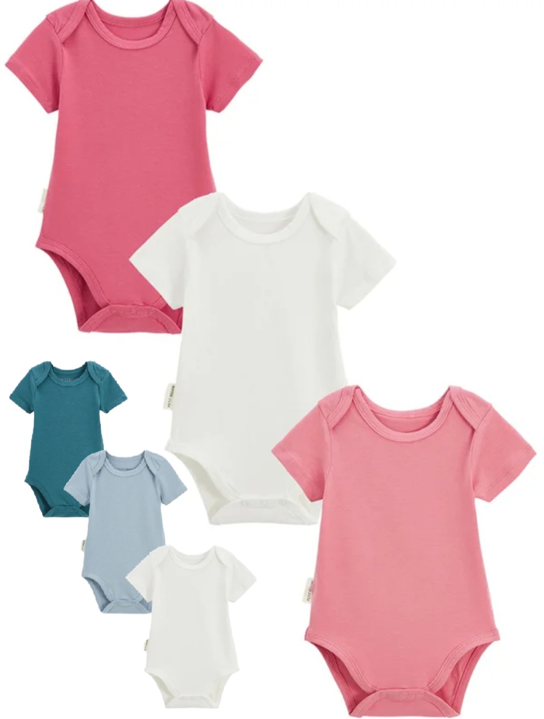 body mache courte (1)