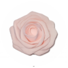 Fleurt rose