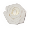 FleurtBlanc