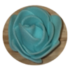fleur-bleu