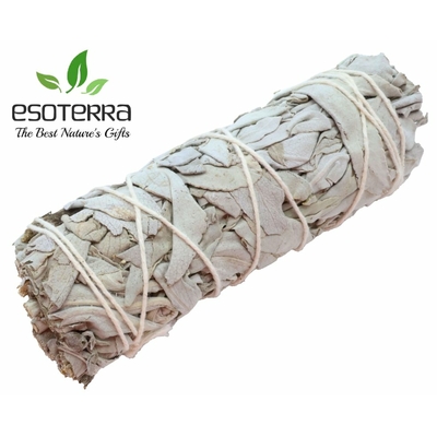 SAUGE BLANCHE 20G