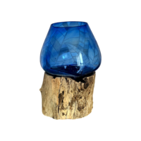ase aquarium terrarium en Verre Soufflé bleu sur racine Bois de teck - Élégance Naturelle