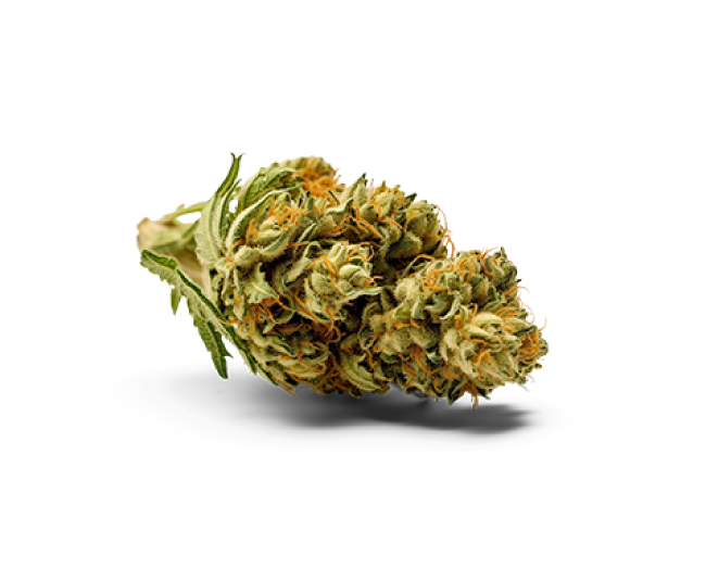 jardindlafee cbd