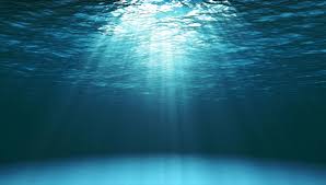 images 27
