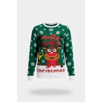 Dennengroene kersttrui met Rudolph, rode neus en Holly Jolly Christmas in pailletten