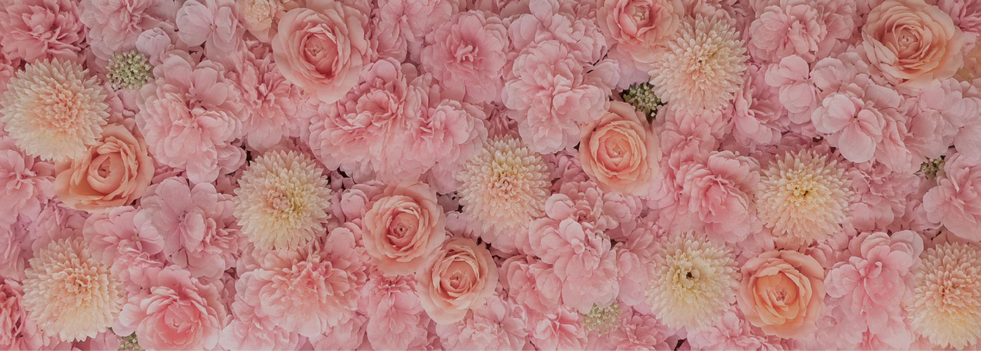 lady wilde mur de fleur