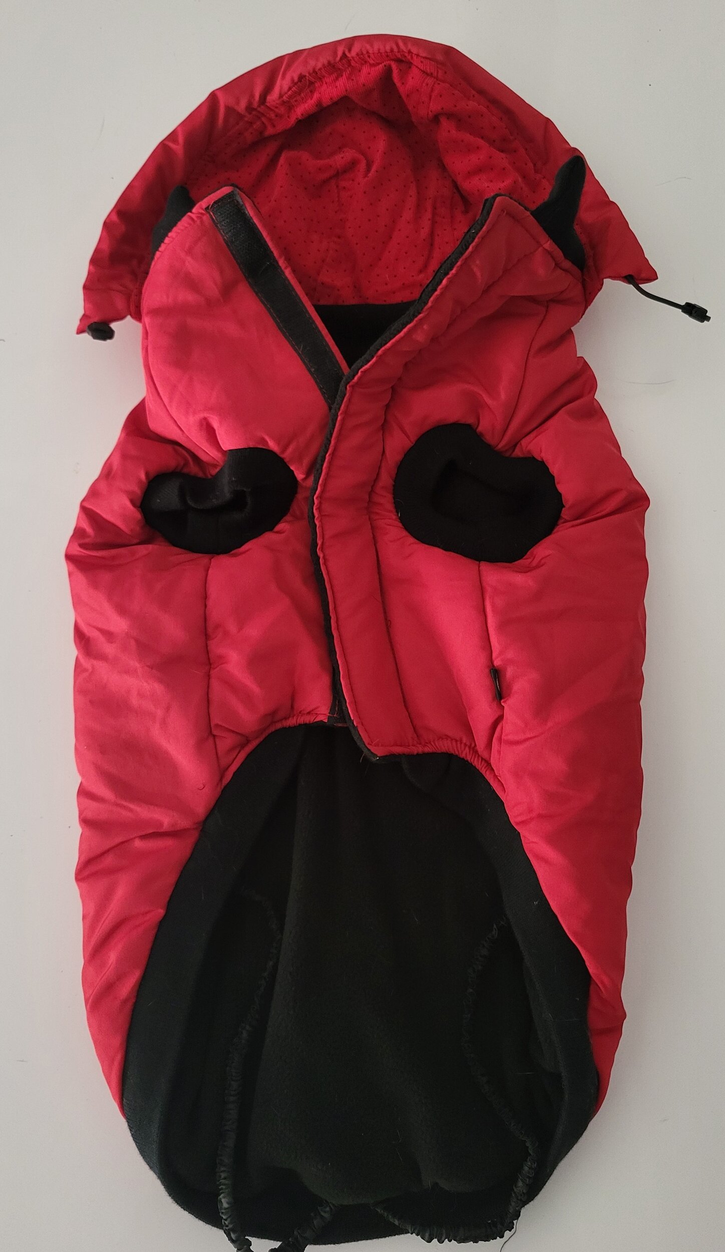 manteau chien