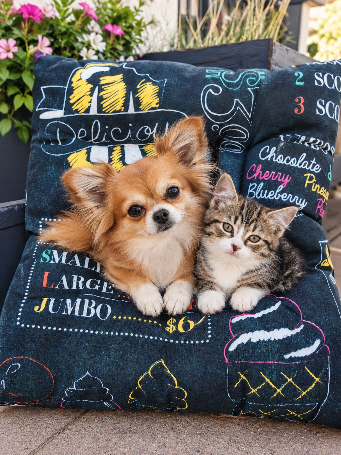 coussin2