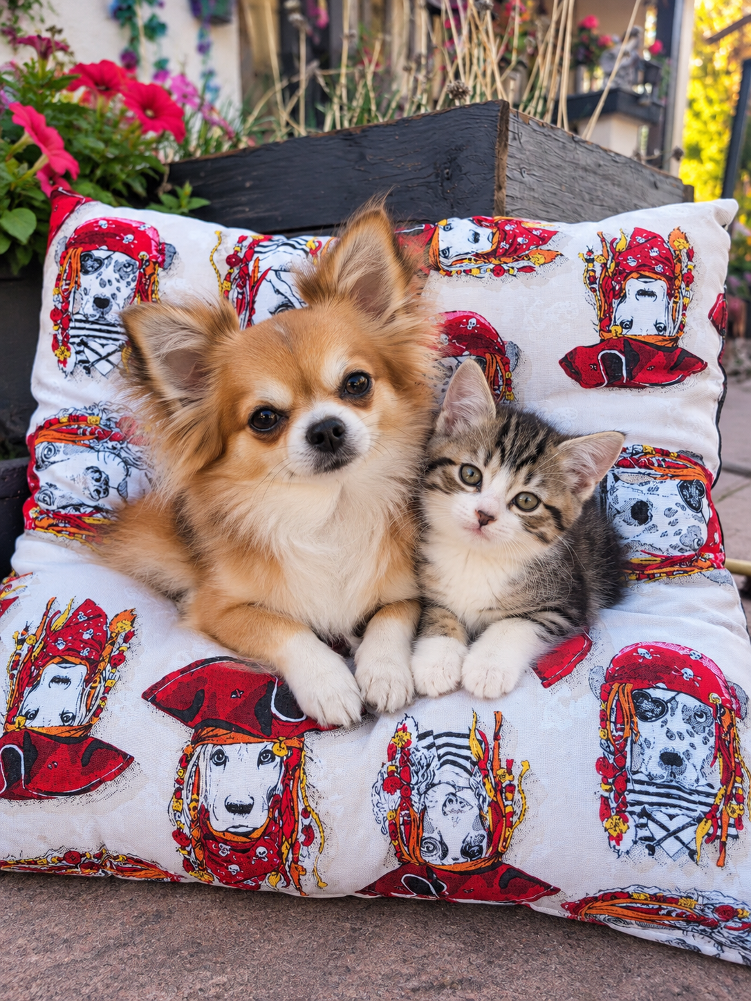 coussin3