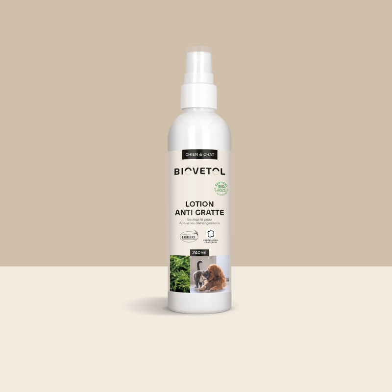 lotion-anti-gratte