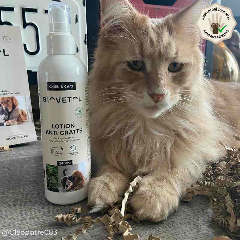 lotion-anti-gratte (2)
