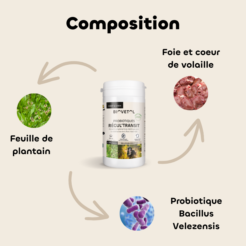 probiotiques-regultransit-chien-plus-10kg (3) - Copie