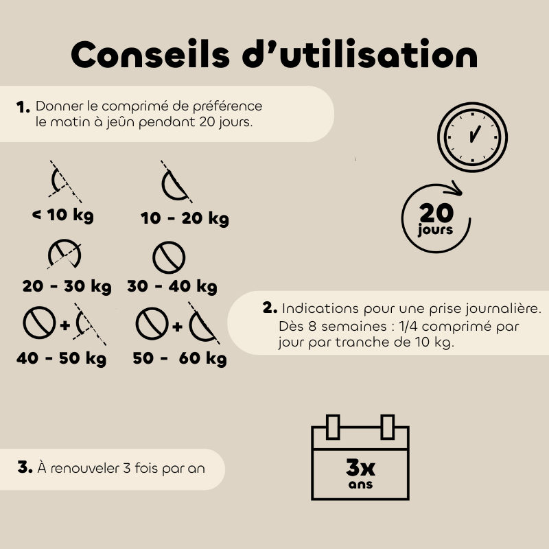 comprimes-mobil-activ-chien (1)