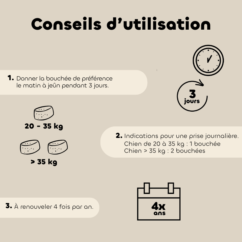 bouchee-alt-vers-grand-chien (1)