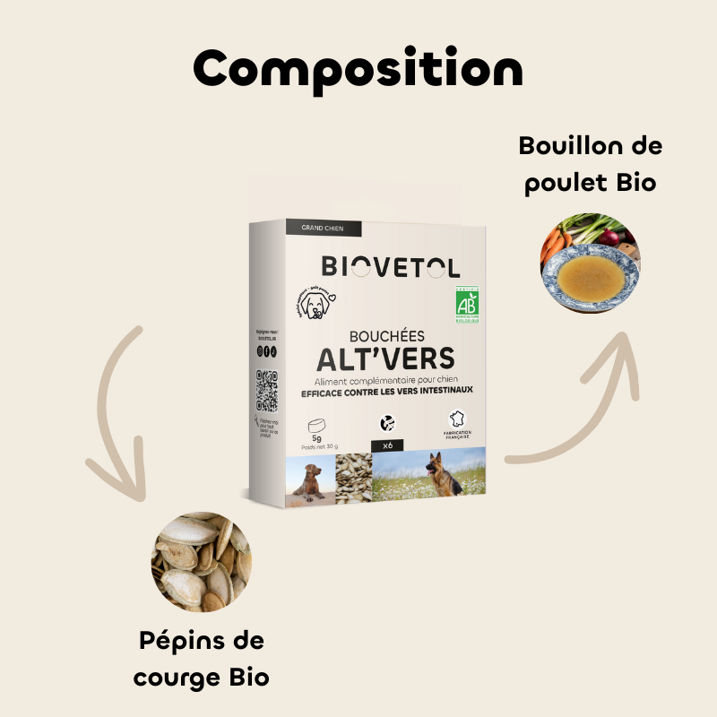 bouchee-alt-vers-grand-chien (4)