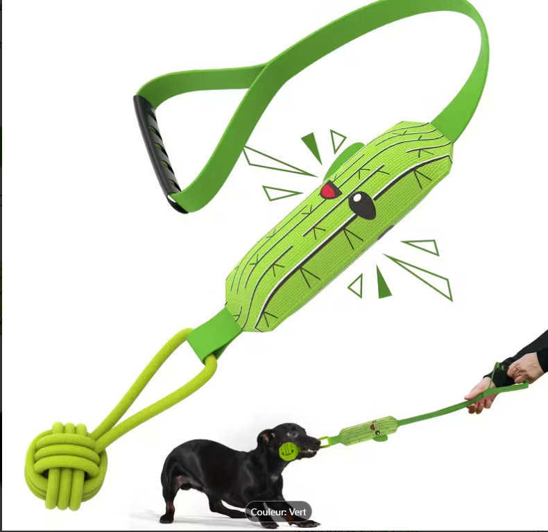 jouet pour chien