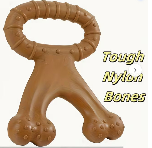 dog  nylon1