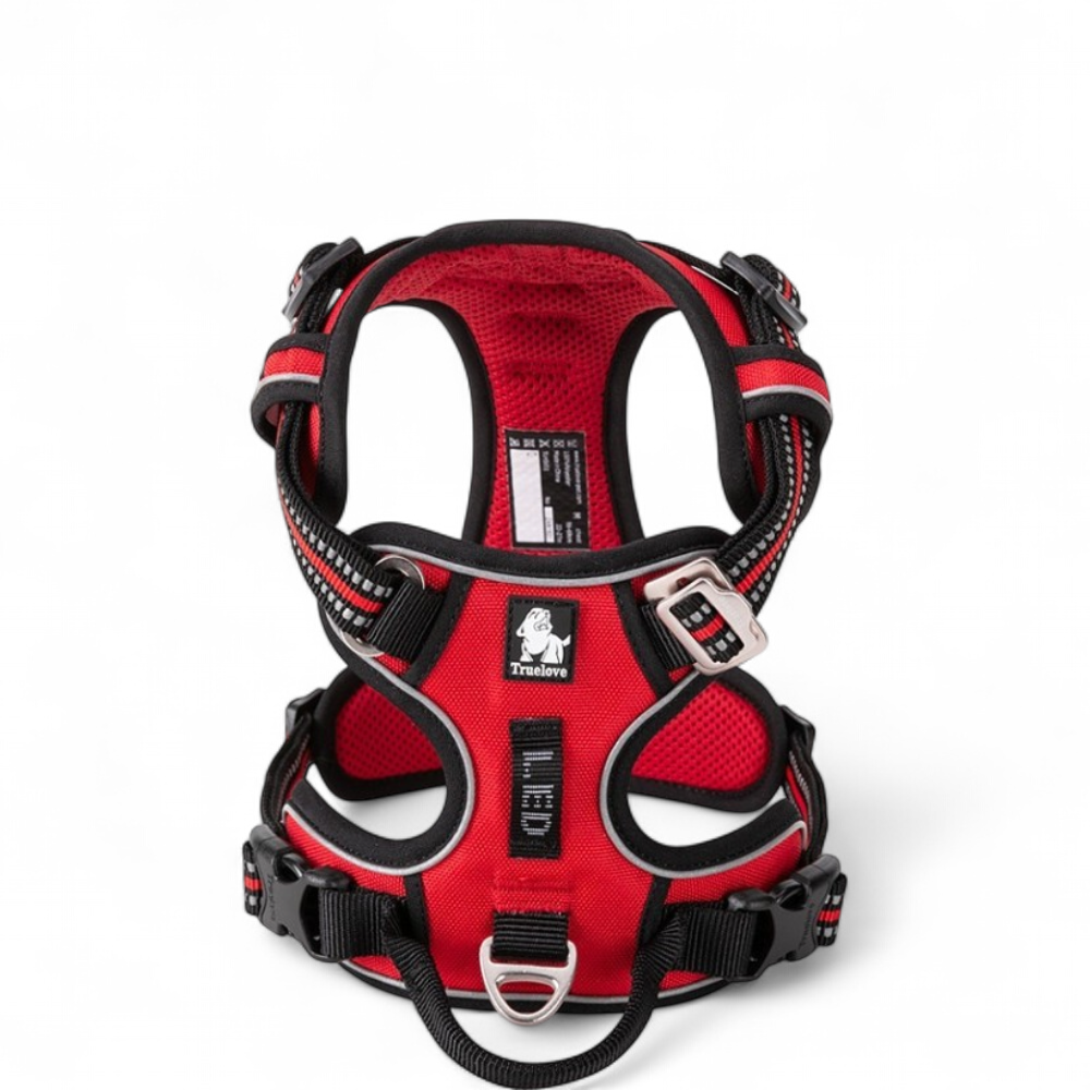 harnais-country-rouge3
