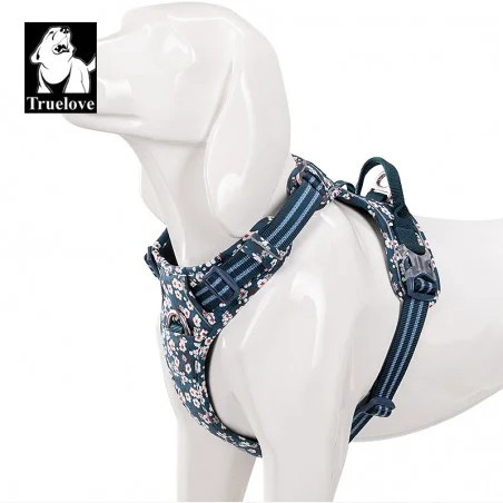 harnais country Sanony bleue4