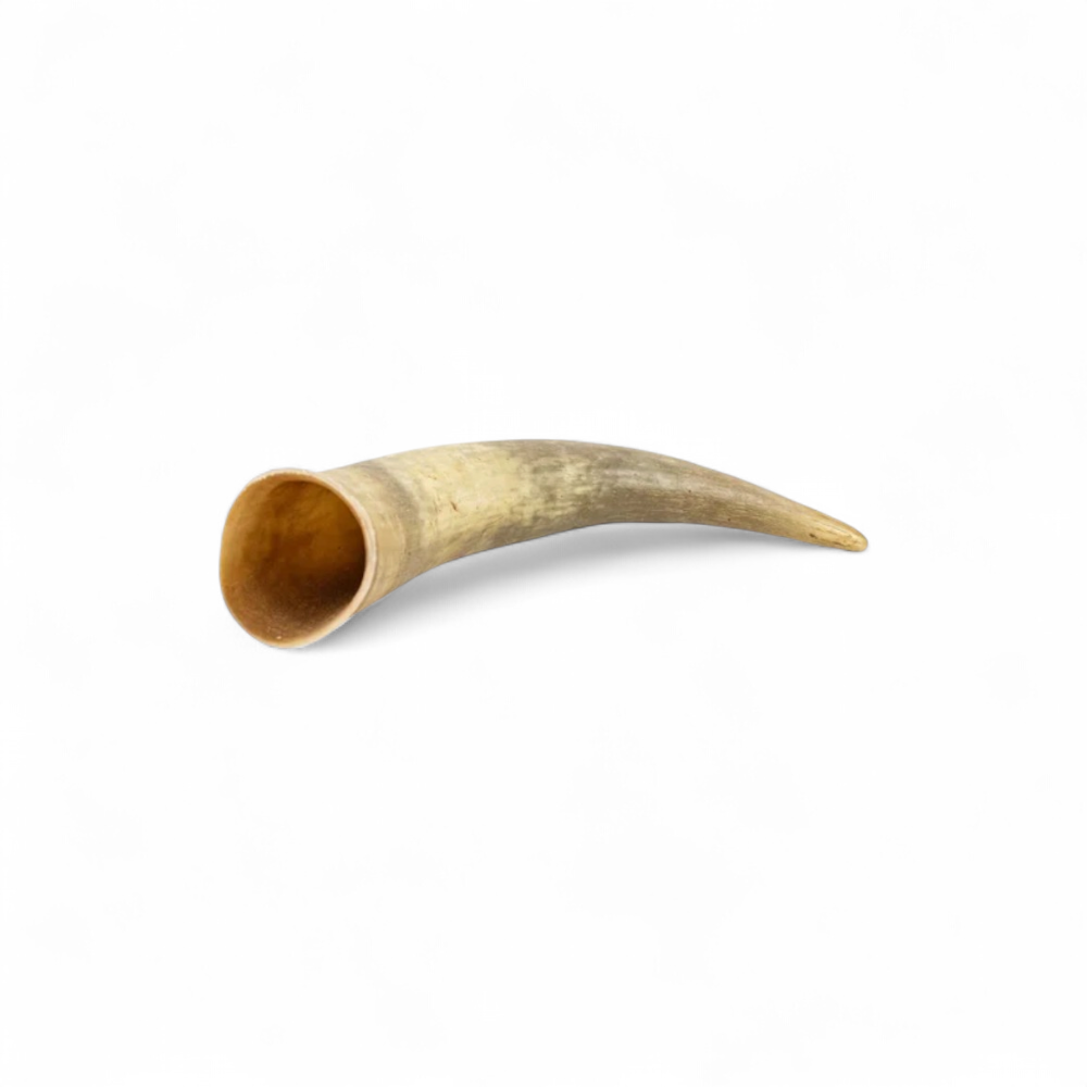 corne-de-vache