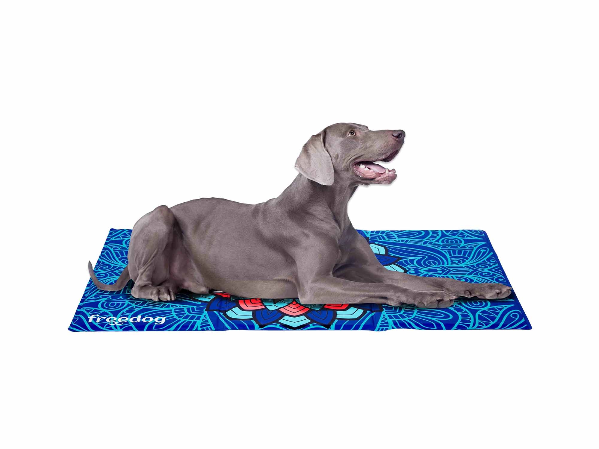tapis rafraississant pour chien