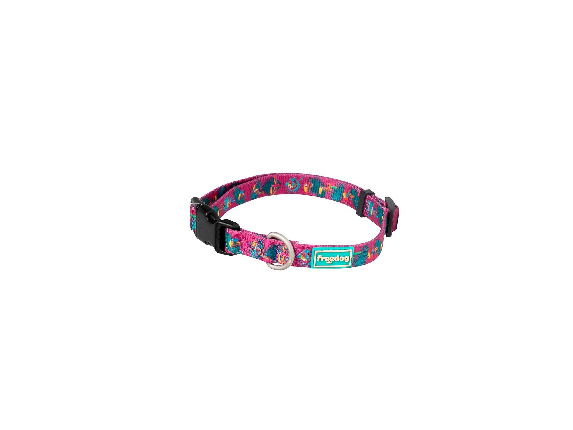 collier chien