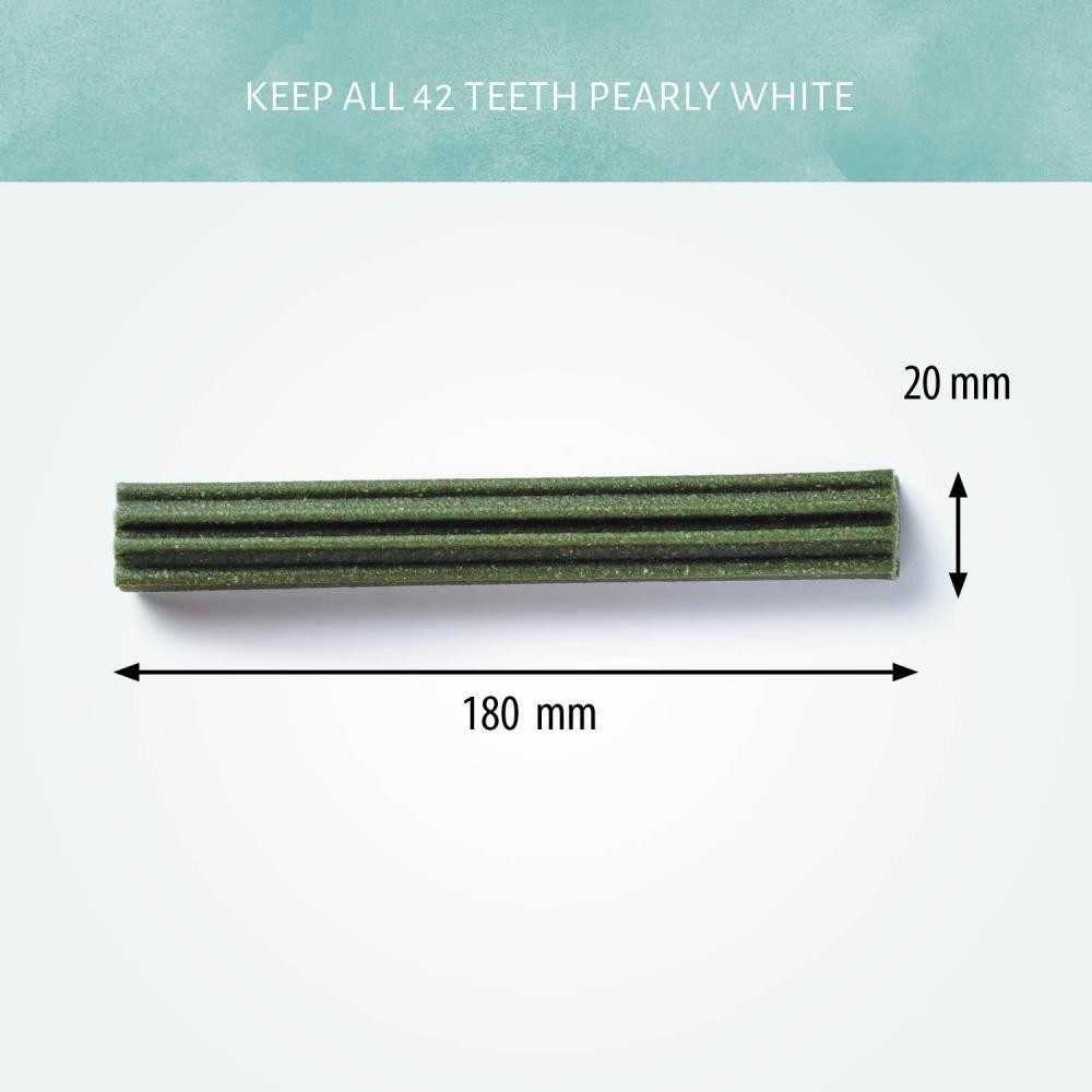 cerea-eurostar-medium-18-cm-assorti-3-1659265399