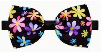noeud de papillon3