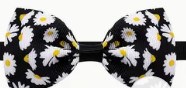noeud de papillon4