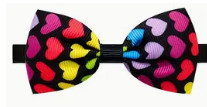 noeud de papillon8