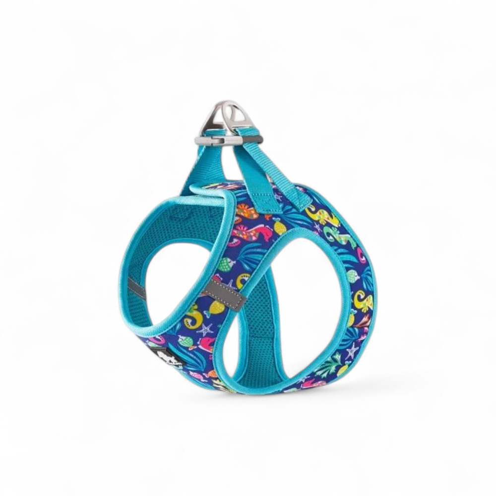 harnais-truelove-nemo-bleu