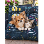 coussin2