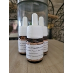 mal des transports2