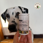 probiotiques-regultransit-chien-plus-10kg (4)