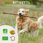 comprimes-mobil-activ-chien (4)