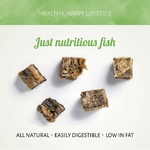 fish-dlight-squares-100-gr-2-1665141315