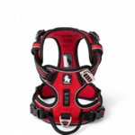 harnais-country-rouge3