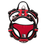 harnais country rouge2