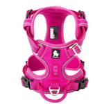 harnais country rose2