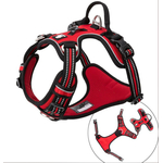 harnais country rouge4
