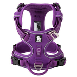 harnais country violet1