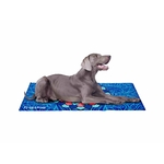 tapis rafraississant pour chien